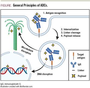 Recent Advances in Antibody-Drug Conjugates for Lymphoma