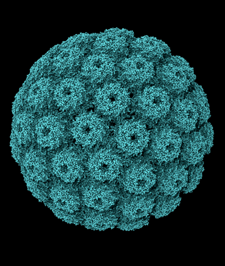 Possible Association Between Simian Virus 40 and NHL Found | Cancer Network