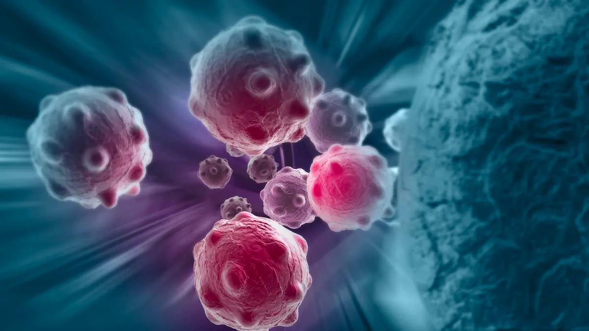 Axatilimab Induces Rapid and Durable Responses, Is Safe in Recurrent/Refractory cGVHD