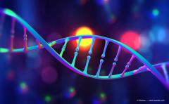 EP. 4 Genetic Patterns Could Help Doctors Identify Ultra High Risk Patients of Multiple Myeloma