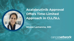 Acalabrutinib/venetoclax may offer less toxicity compared with other therapies in chronic lymphocytic leukemia, said Nicole Lamanna, MD.