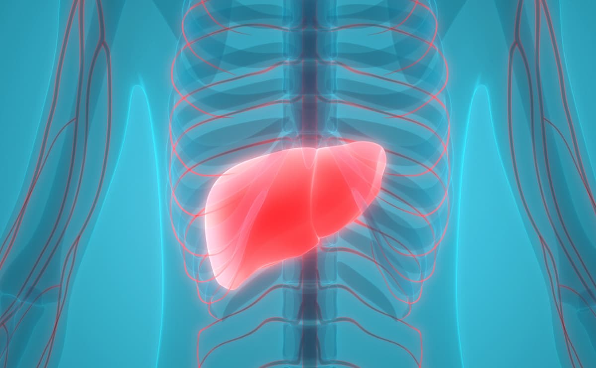 Envafolimab Combo Yields Efficacy and Safety in Liver Cancer Subtype