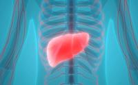 Receiving treatment at an academic center may improve the probability of receiving subsequent curative care among those with hepatocellular carcinoma.
