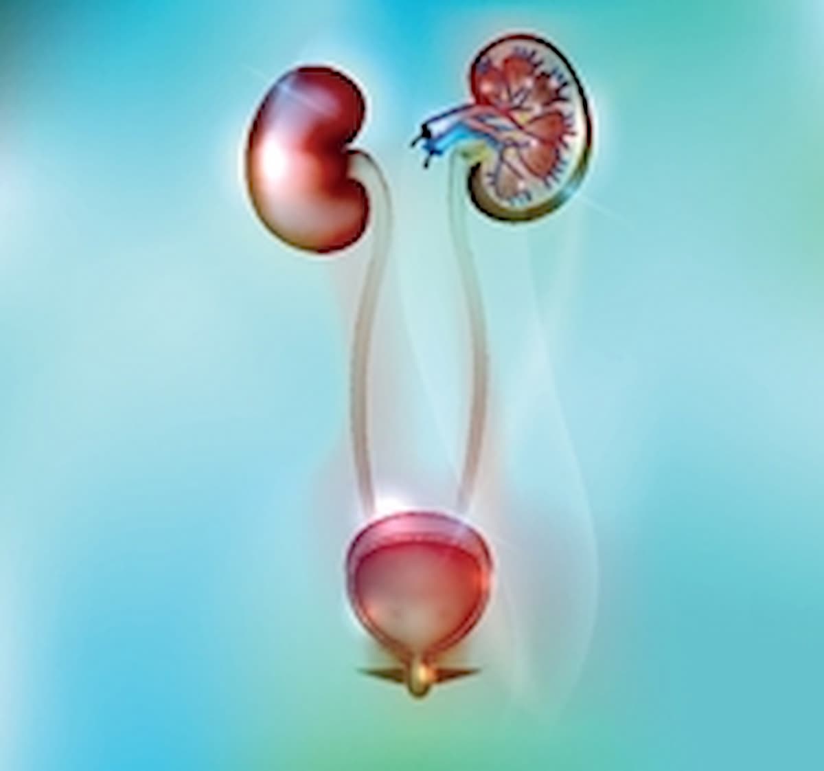 Adrenocortical Carcinoma at Low/Intermediate Recurrence Risk Does Not Benefit From Postoperative Adjuvant Mitotane
