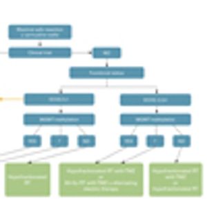 Managing Glioblastoma in the Elderly Patient: New Opportunities