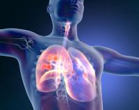 Sevabertinib Earns Breakthrough Therapy Designation for HER2+ NSCLC in US/China