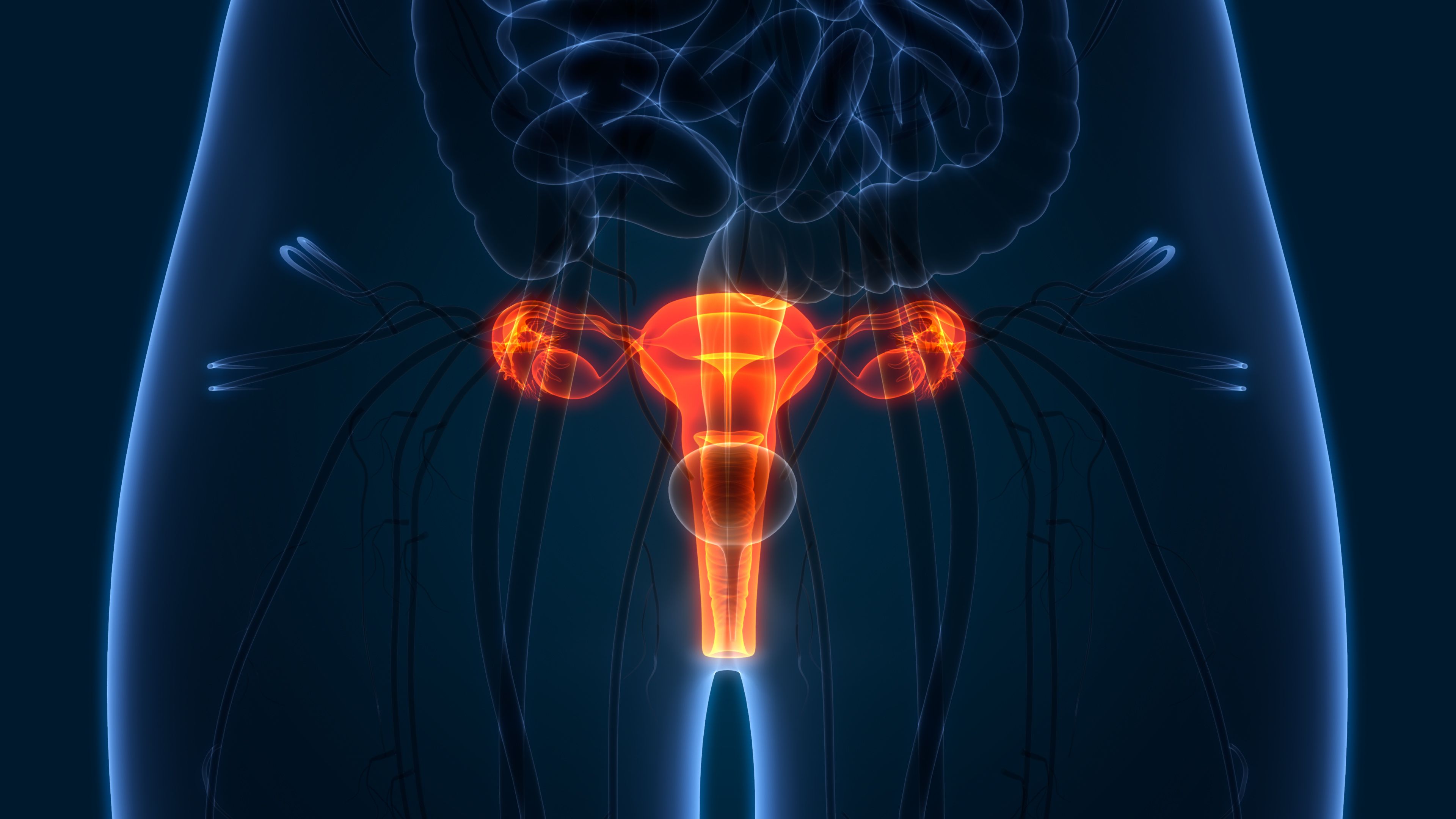 FDA Grants BTD to BI-1808 in Ovarian Cancer Population: © magicmine - stock.adobe.com