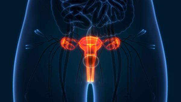 FDA Grants BTD to BI-1808 in Ovarian Cancer Population: © magicmine - stock.adobe.com