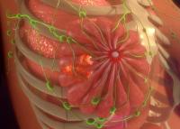 The safety profile of palazestrant plus ribociclib in a phase 1b trial was comparable with prior reports of each individual agent. 