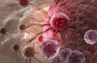 The primary end points of the trial included the incidence of dose-limiting toxicities with monotherapy and combination therapy and the incidence of treatment-emergent adverse events.