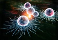 What Path to Approval Has Dasatinib Taken in CML/ALL? 