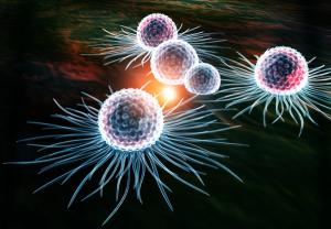 Synovial Fluid in Checkpoint Inhibitor–Induced Inflammatory Arthritis