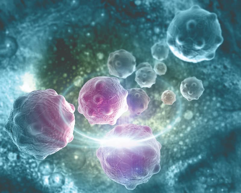 The safety profile of iopofosine I 131 in the phase 1b CLOVER-2 trial appears consistent with prior reports of the agent.