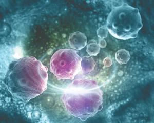 The safety profile of iopofosine I 131 in the phase 1b CLOVER-2 trial appears consistent with prior reports of the agent.