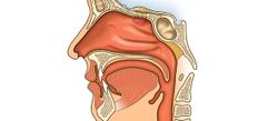 First-Line Tislelizumab Plus Chemotherapy Could Become SOC in Nasopharyngeal Cancer