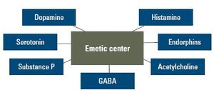 Managing Nausea and Vomiting in Patients With Cancer: What Works