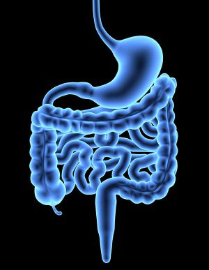 Gastric Cancer