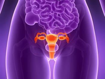 uterus