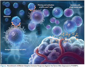 Vaccine Therapy, Oncolytic Viruses, and Gliomas