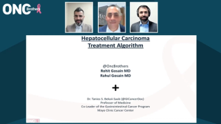 Tanios S. Bekaii-Saab, MD, and the Oncology Brothers presenting slides