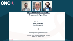 Tanios S. Bekaii-Saab, MD, and the Oncology Brothers presenting slides