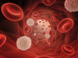 Multidimensional Rehabilitation Appears Feasible/Safe in Blood Cancers