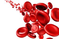 EP. 34 General Lifestyle Recommendations for Receiving Talquetamab in Multiple Myeloma
