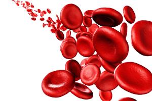 Daratumumab Quadruplet Improves Efficacy in Transplant-Ineligible or-Deferred, Newly Diagnosed Myeloma