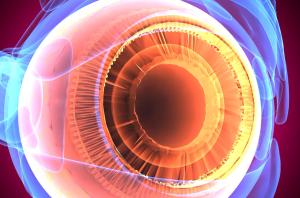 Ocular Toxicities of MEK Inhibitors in Patients With Cancer: A Systematic Review and Meta-analysis