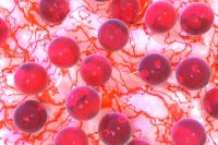 Updated results at ASH 2025 may support new alternatives to continuous therapy and standard intensive chemotherapy across different leukemia types.