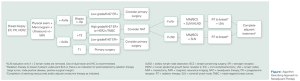 Neoadjuvant Therapy for Early-Stage Breast Cancer: Current Practice, Controversies, and Future Directions 