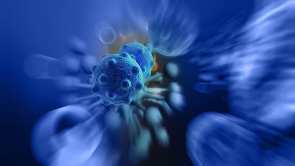 Poster presentations at SOHO 2026 may inform multiple myeloma practice across the newly diagnosed and relapsed/refractory settings.