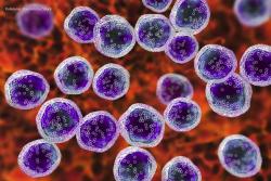 FDA Grants Orphan Drug Designation to Investigational Drug for Mantle Cell Lymphoma