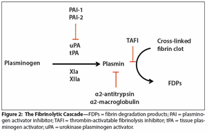 Thromboembolism and Bleeding in Bladder Cancer