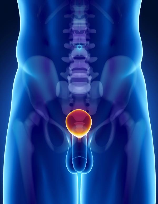 The triplet regimen also improved health-related quality of life and pain compared with ADT plus ARPI alone in patients with metastatic hormone-sensitive prostate cancer.