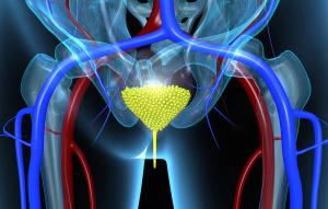 The FDA accepts the supplemental biologics license application for enfortumab vedotin-ejfv and pembrolizumab in patients with urothelial cancer following supporting data from the phase 3 KEYNOTE-A39 trial. 