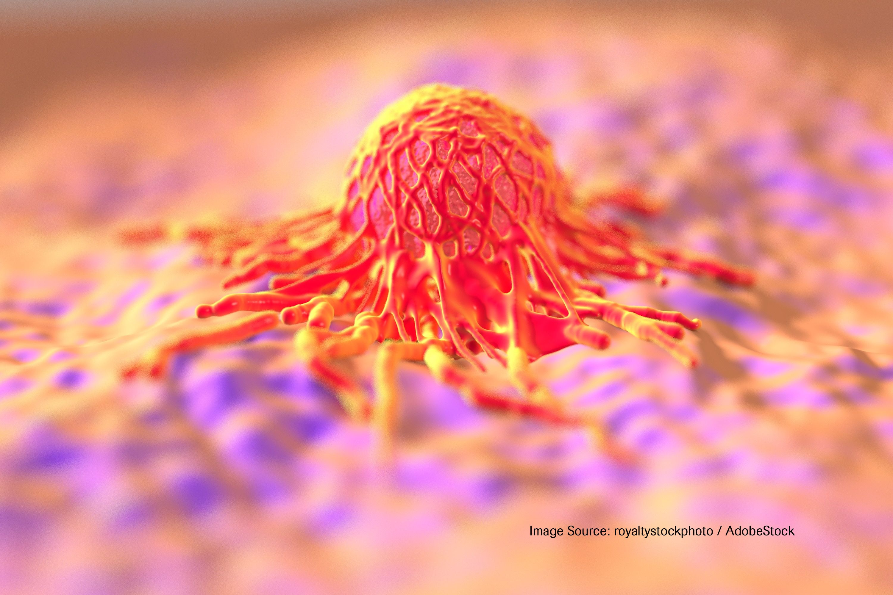 Samples were analyzed using 40-GEP clinical testing standard operating procedures. The trial end points were LRFS and MFS.