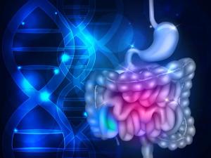 Christine Parseghian, MD, Examines Anti-EGFR Rechallenge With Panitumumab Plus/Minus Trametinib in Metastatic CRC