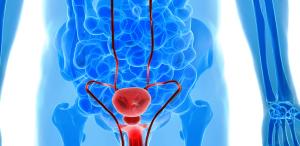Treatment with Cisplatin-Based Chemotherapy Yields High Risk of Mortality Unrelated to Disease in Testicular Cancer 
