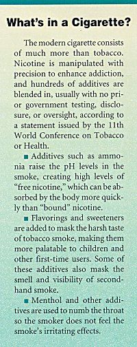 scandinavian tobacco group annual report 2024 pdf Scandinavian Tobacco Group: The Artisanal Serial Acquirer