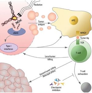 Harnessing the Immunomodulatory Effects of Radiation Therapy