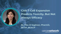 Tiba Al Sagheer, PharmD, BCOP, BCACP, said CAR T-cell expansion signals toxicity risk differently across cilta-cel and ide-cel.
