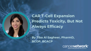 Tiba Al Sagheer, PharmD, BCOP, BCACP, said CAR T-cell expansion signals toxicity risk differently across cilta-cel and ide-cel.