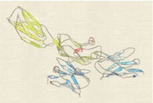 Current and Future Landscape of Immune Checkpoint Inhibitors in Urothelial Cancer