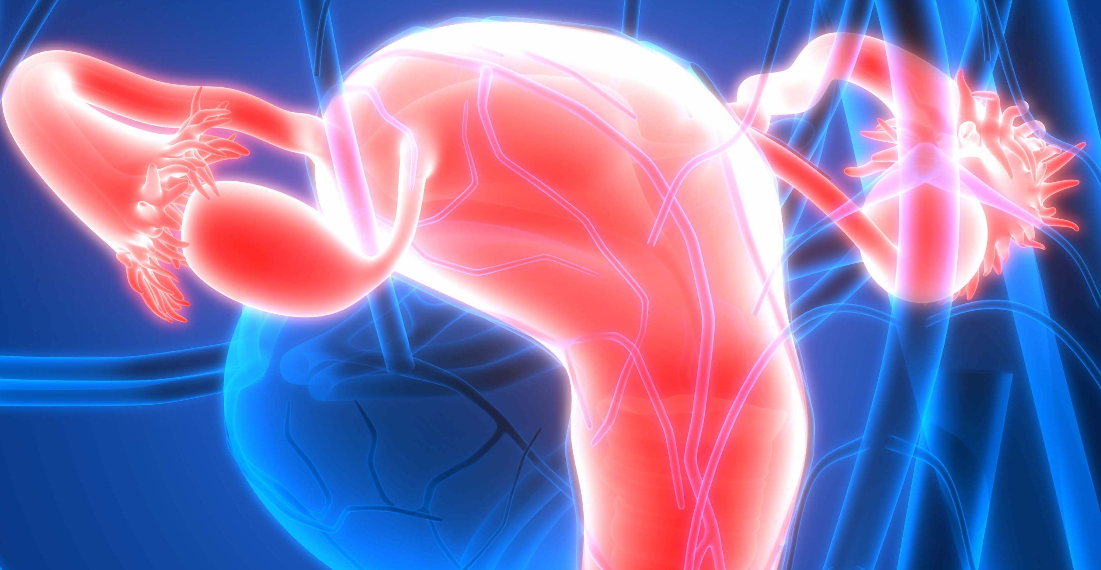 Findings may support reconsideration of guideline recommendations concerning the use of estrogen alone in postmenopausal individuals.