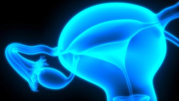 Relacorilant Maintains OS Benefit in Ovarian Cancer Despite Prior Taxane Use
