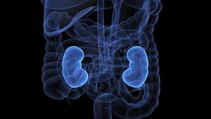 East Asian Patients with Advanced RCC Benefit from Lenvatinib Plus Pembrolizumab 