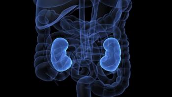 Data from the FRUSICA-2 trial may support fruquintinib/sintilimab as a “valuable” option for patients with advanced renal cell carcinoma.