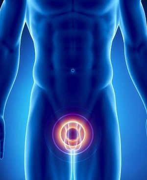 IL-6 Secretion & ALK Suppression in Advanced Prostate Cancer