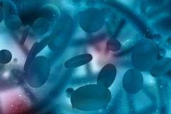 EP. 32 D-VRd Regimen Sustains MRD Response In Newly Diagnosed Multiple Myeloma Subgroup